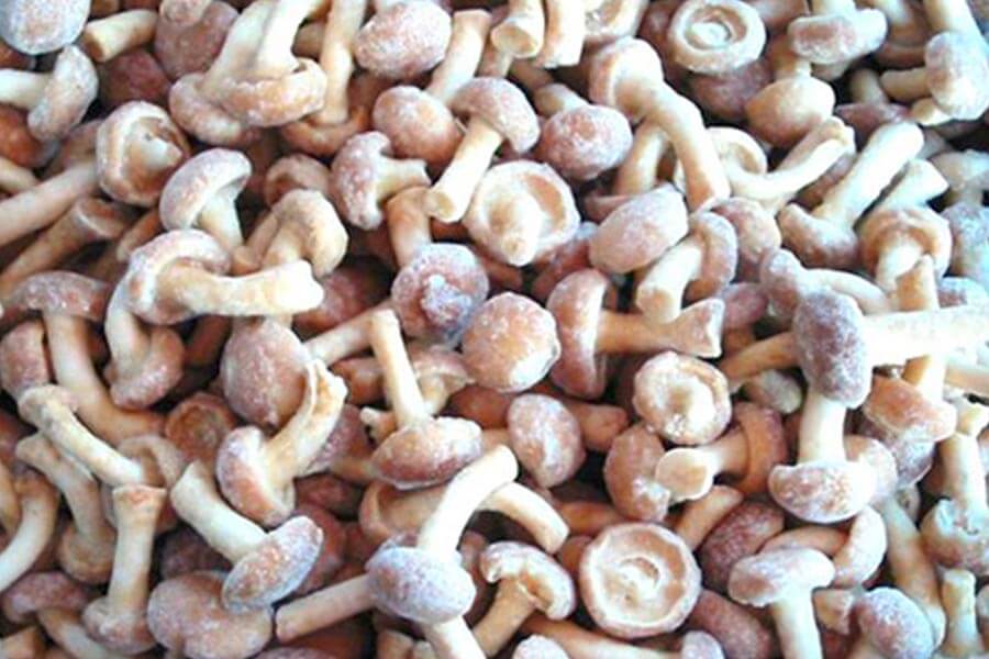 Икра из лесных грибов на зиму фото