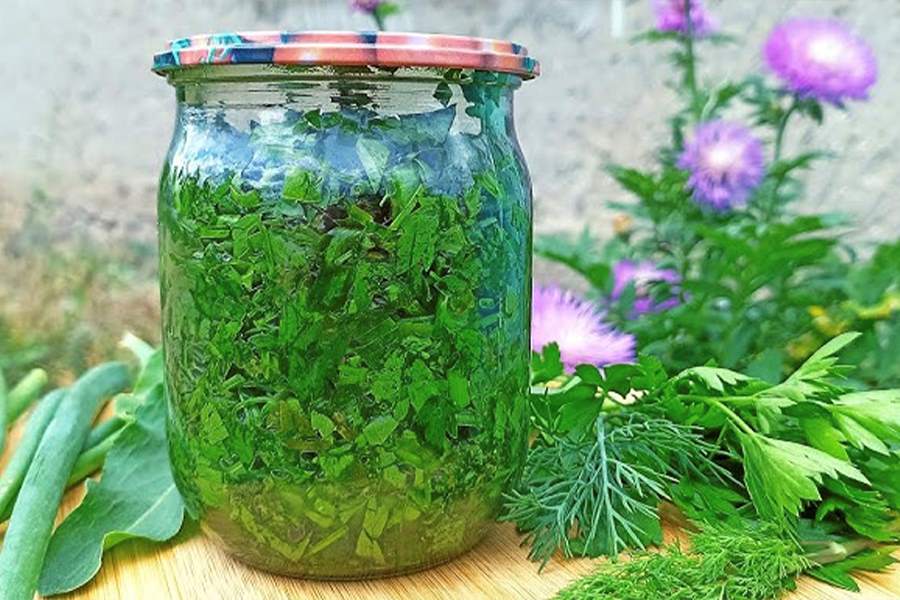 Как засолить зелень на зиму фото