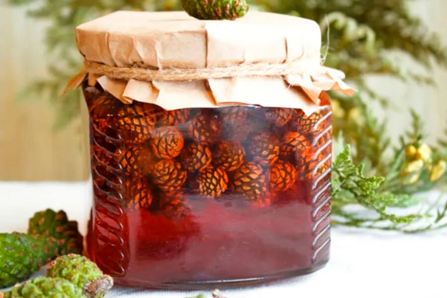 Сироп из сосновых шишек