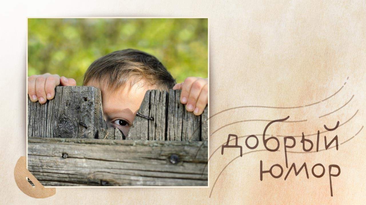 взгляд через забор