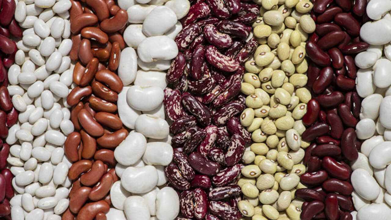 вкусный салат из фасоли фото