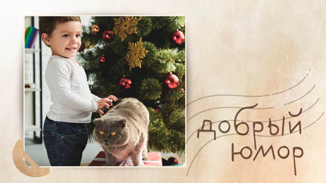 ребенок и кот