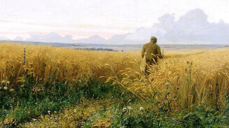 «Я домой пойду…»