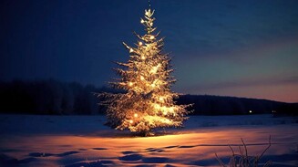 К друзьям на Новый год