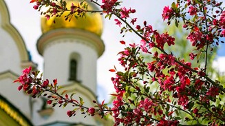 «За что вы любите монастырь?»