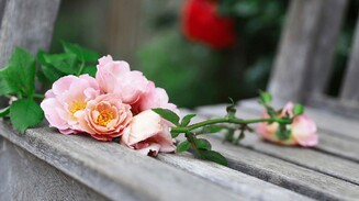 «Уж гасли в комнатах огни…»