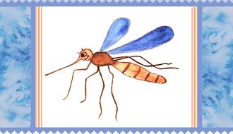 Комар и муха