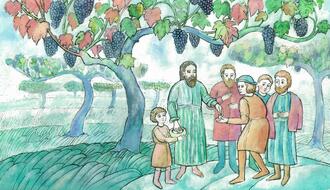 Притчи Иисуса Христа для детей: о работниках в винограднике