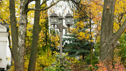 Красота осени