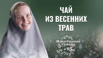 Чай из листьев смородины своими руками. Монастырский травник
