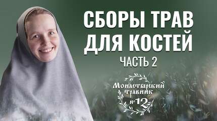 Как укрепить костную систему? Сборы полезных трав и продукты питания. Часть 2