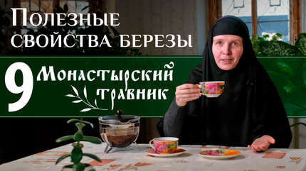 Листья и почки березы — для иммунитета и не только! Монастырский травник.