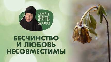 Что значит «Любовь не бесчинствует и не ищет своего»? «Давайте жить здорово!»