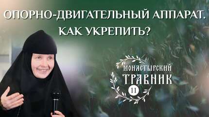 Как укрепить костную систему? Полезные травы. Часть 1