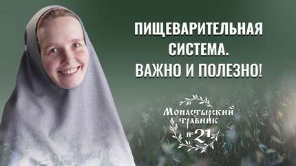 О важности здоровья пищеварительной системы. Какие травы помогут?