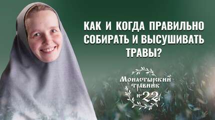Заготовка лекарственных трав. Как собирать, сушить и хранить травы?