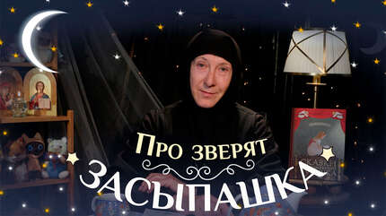 Детская передача «Засыпашка». Выпуск 3: «Про зверят».