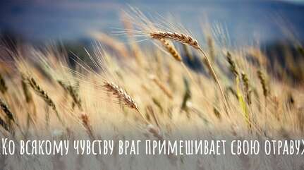 «Ко всякому чувству враг примешивает свою отраву»