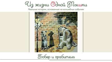 Из жизни Одной Мышки. Бобер и грабитель