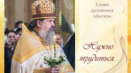 «Нам нужно больше жизни, а не теории»