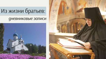 Из жизни братьев: Дневниковые записи