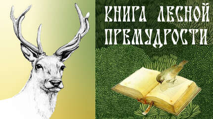Книга лесной премудрости