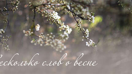 НЕСКОЛЬКО СЛОВ О ВЕСНЕ