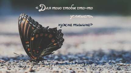 «Для того чтобы что-то услышать, нужна тишина»