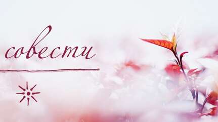 О совести