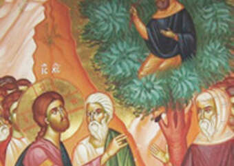 Размышления над Евангелием. 29 января 2017 года