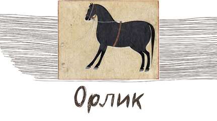 Орлик