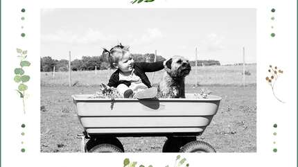 Послушание — начало любви (Заметки о воспитании)