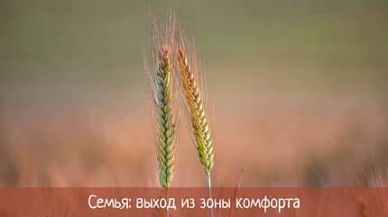 Семья: выход из зоны комфорта