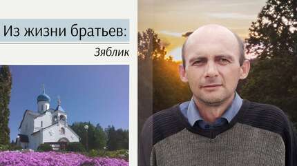 Из жизни братьев: Зяблик
