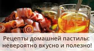 Рецепты домашней пастилы: невероятно вкусно и полезно!