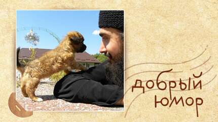Об акулах пера, Фейсбуке и кофе-паузах