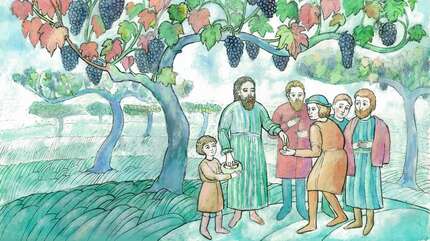 Притчи Иисуса Христа для детей: о работниках в винограднике