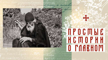 Девять с половиной часов