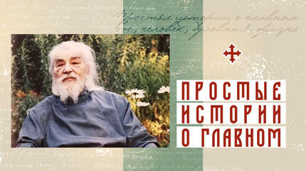 «Мир заболеет без красоты»