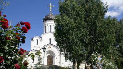 Тихая гавань