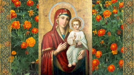Оршанская икона Божией Матери