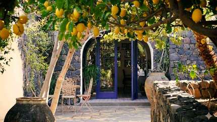 Лимонно-мандариновый дворик