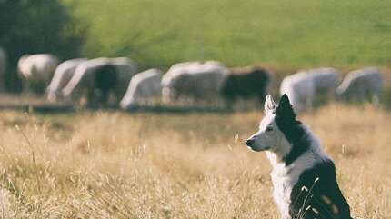О духовной ревности