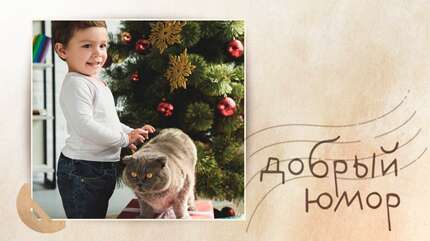 Про лучший день недели и секрет мотивации